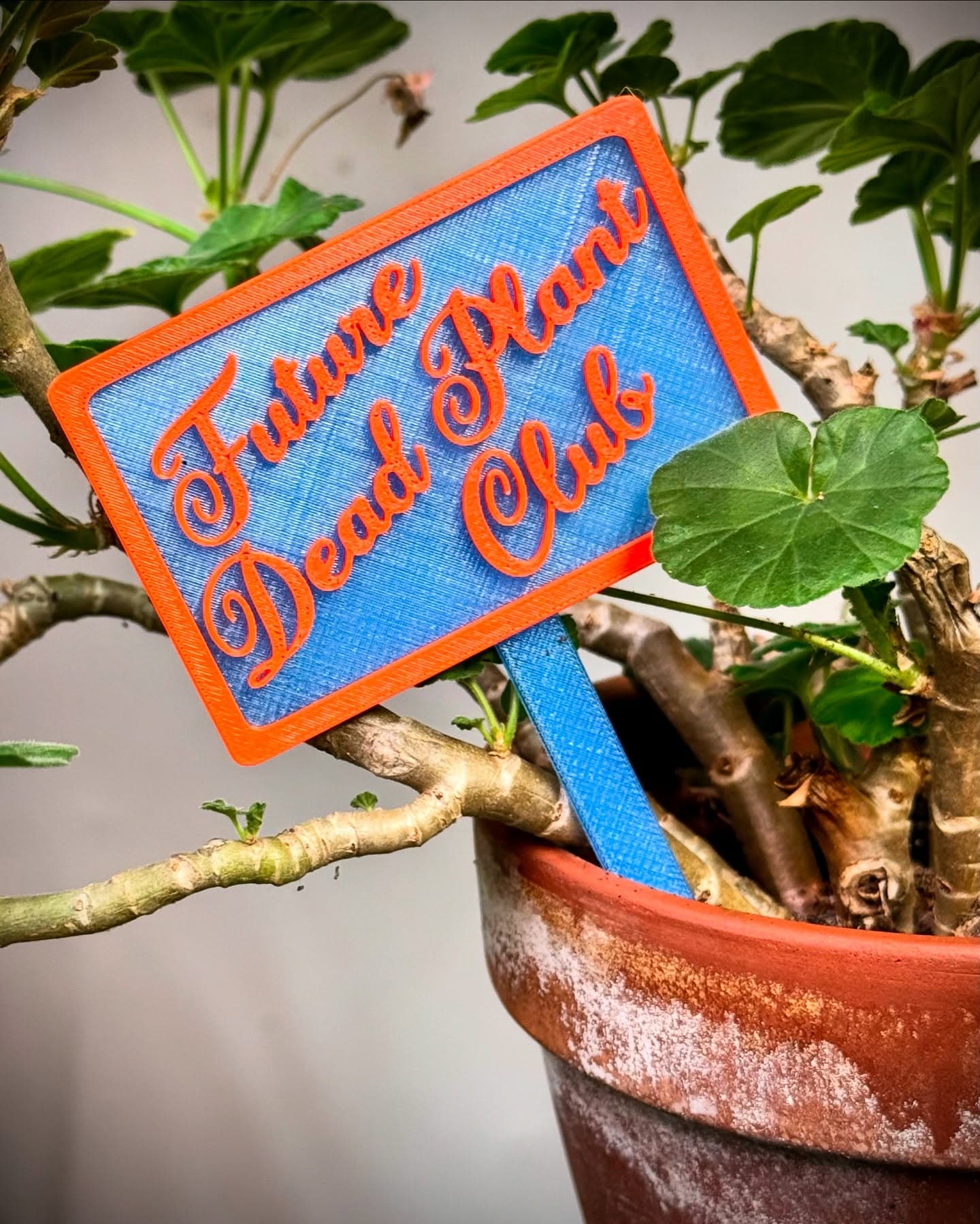 Funny 3D printed pot picks