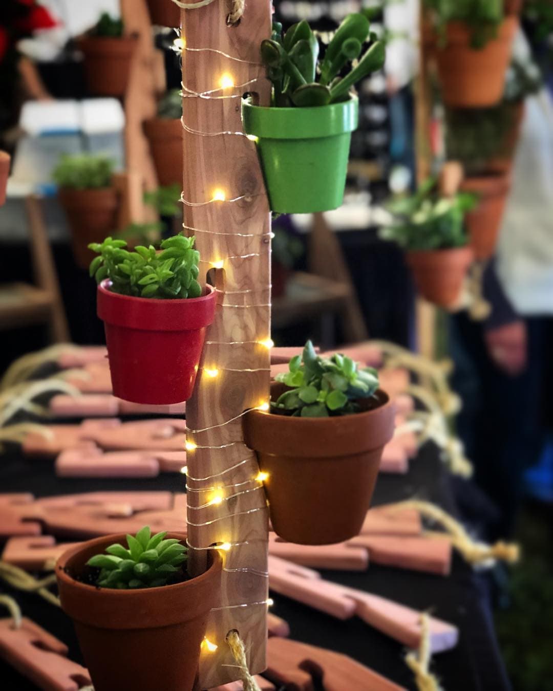 Pot Slot Mini with fairy lights