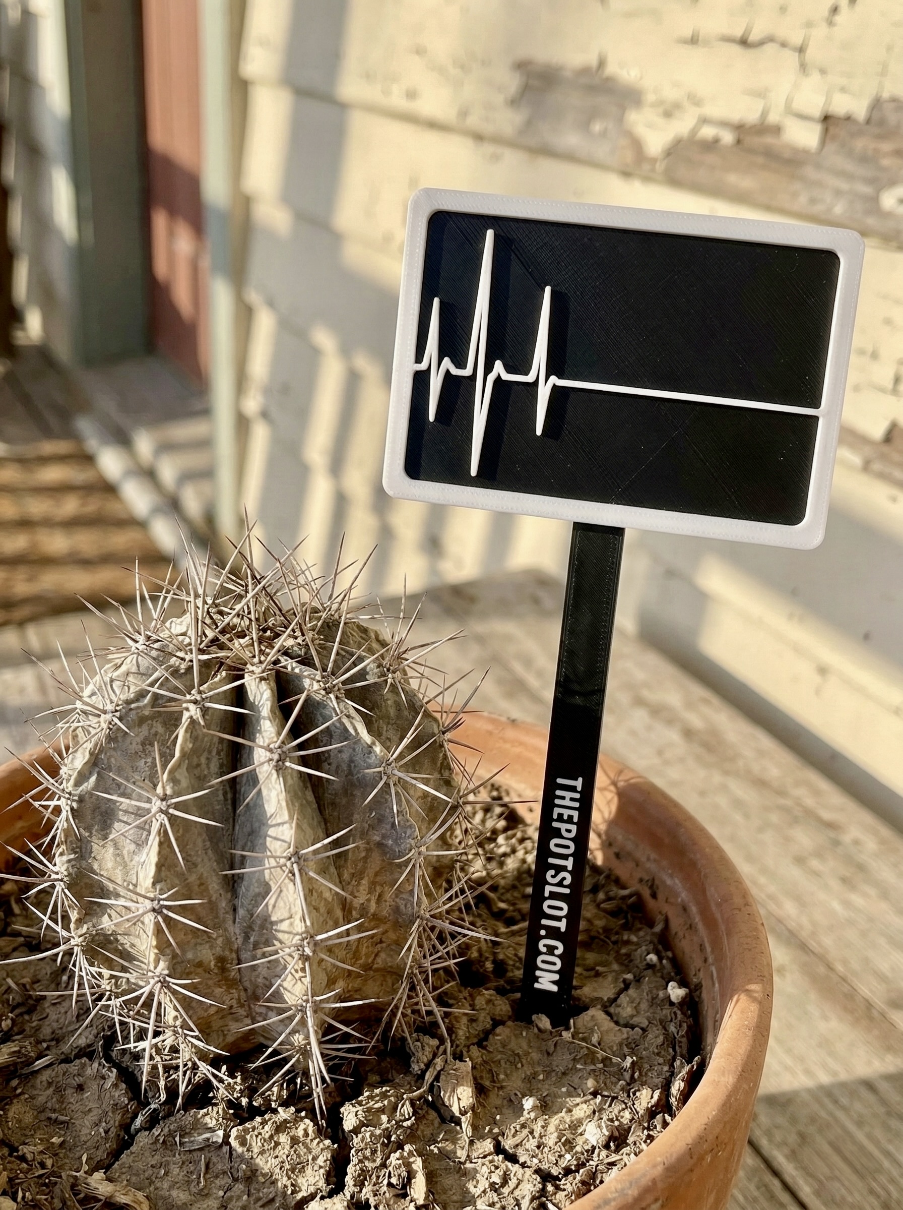3D-printed pot pick in black and white with flatline heartbeat design in a terra cotta pot with a dead cactus on a sunny porch