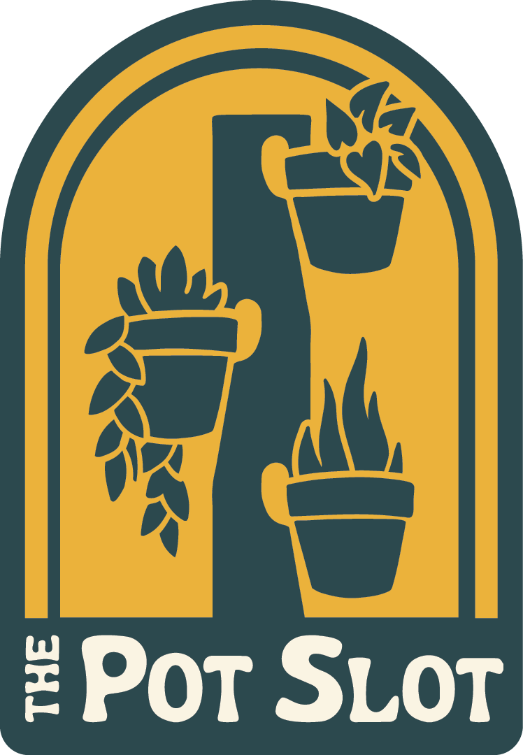 The Pot Slot